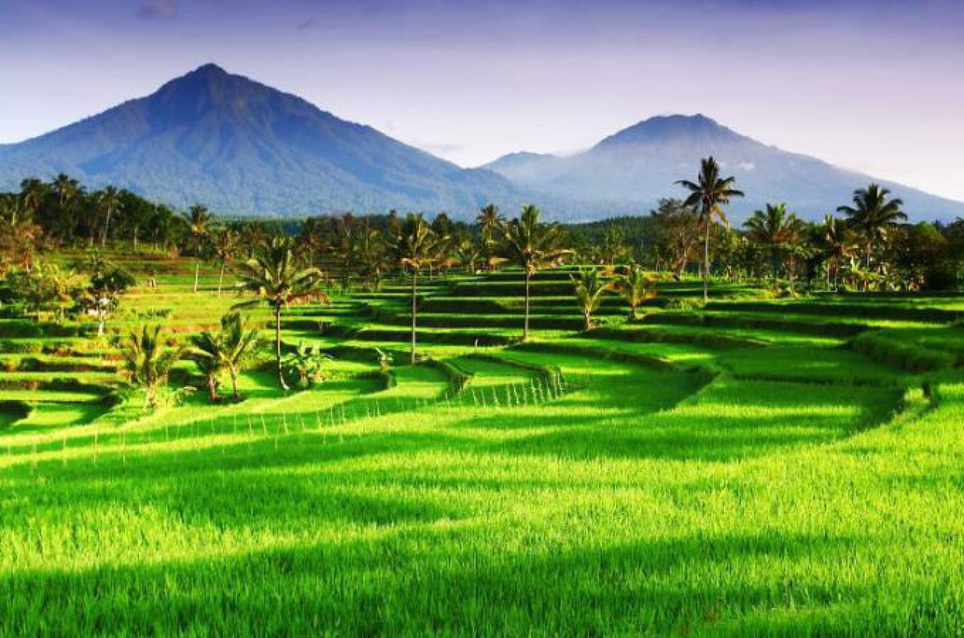 Gerbang Desa